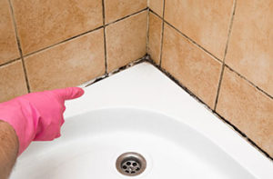 A gloved hand pointing out mold along the caulk line in a tub