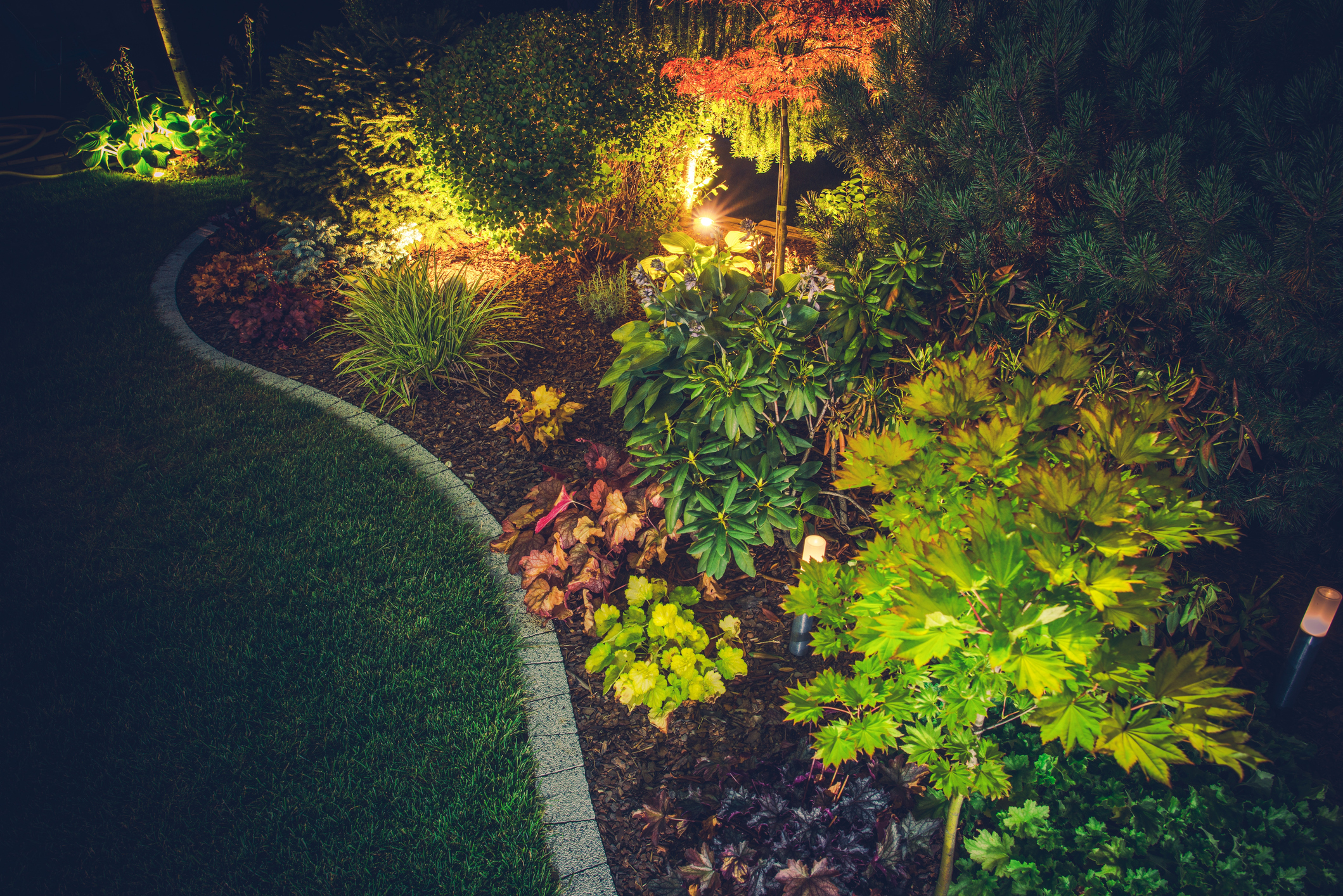 Illuminated Backyard Garden Outdoor Lighting.