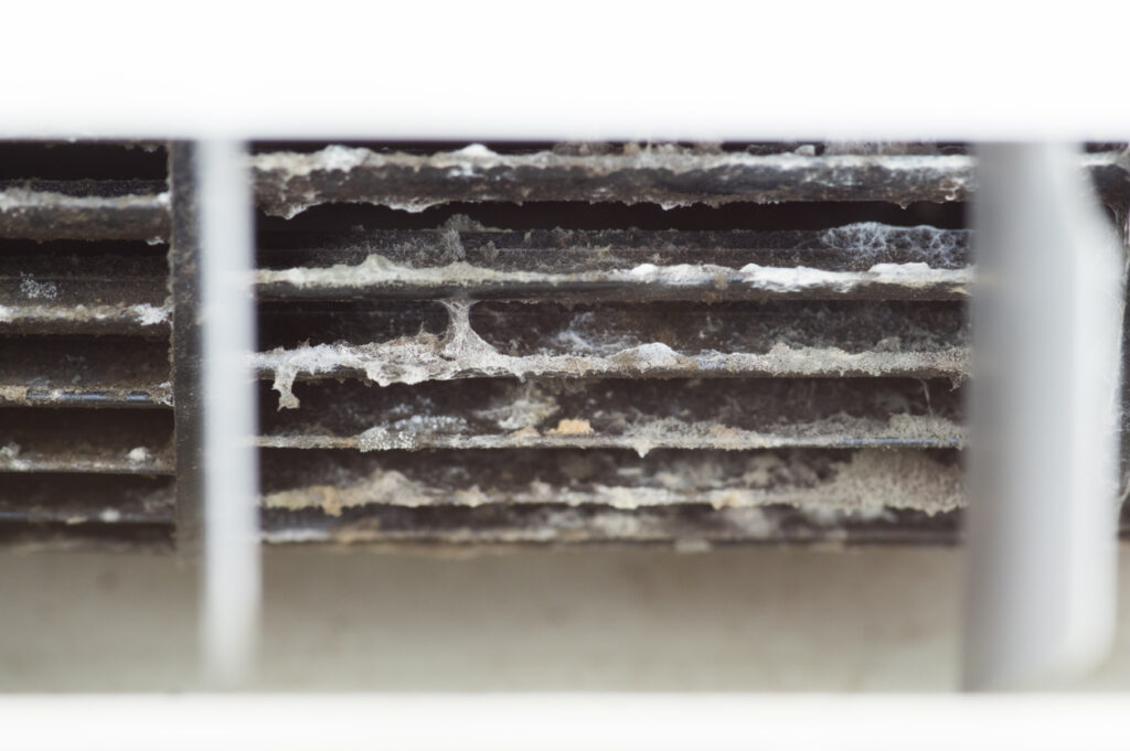 Mold inside the air conditioner